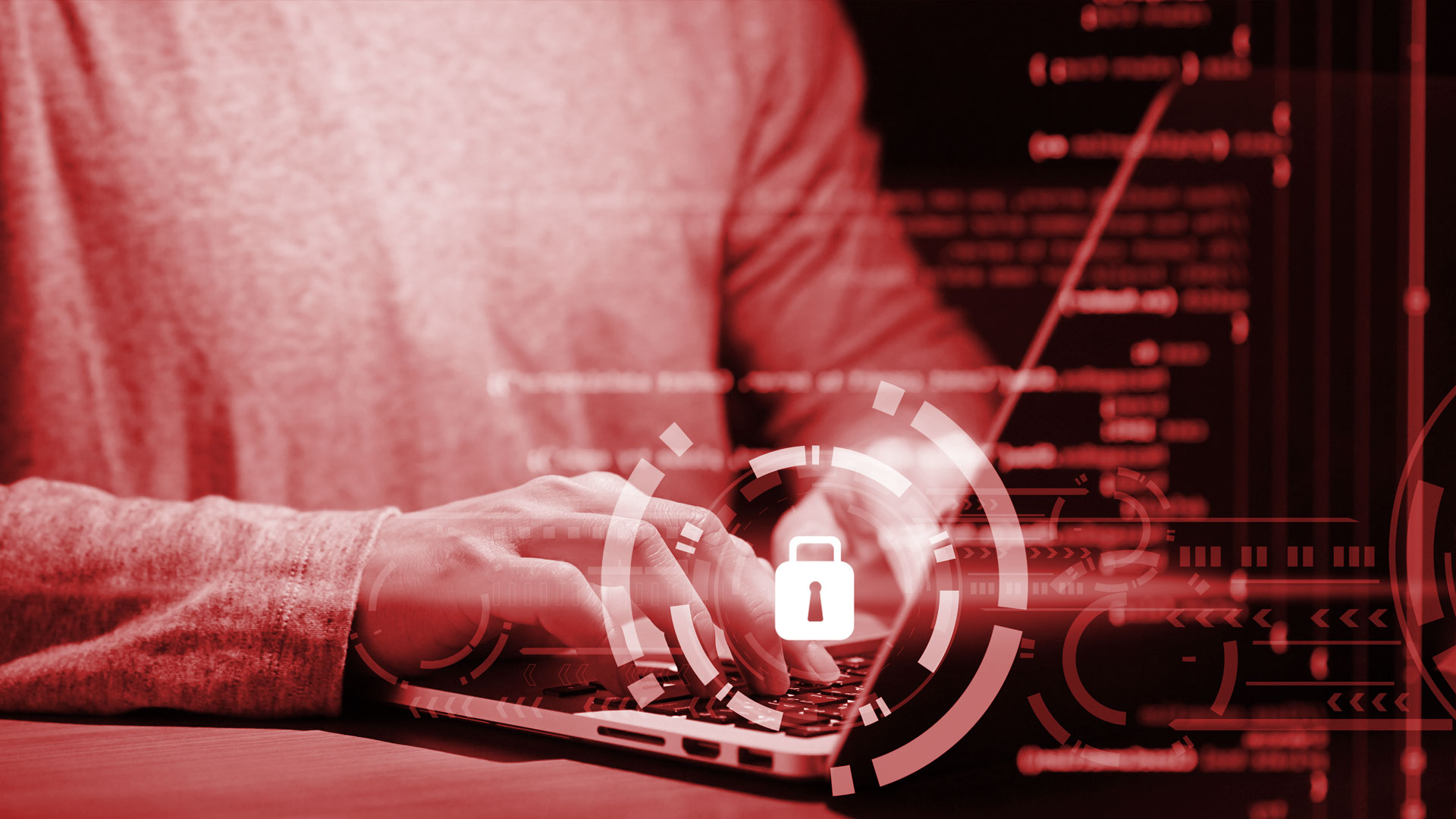 Data Breaches Cost Companies Millions. What Can You Do to Prevent Them?