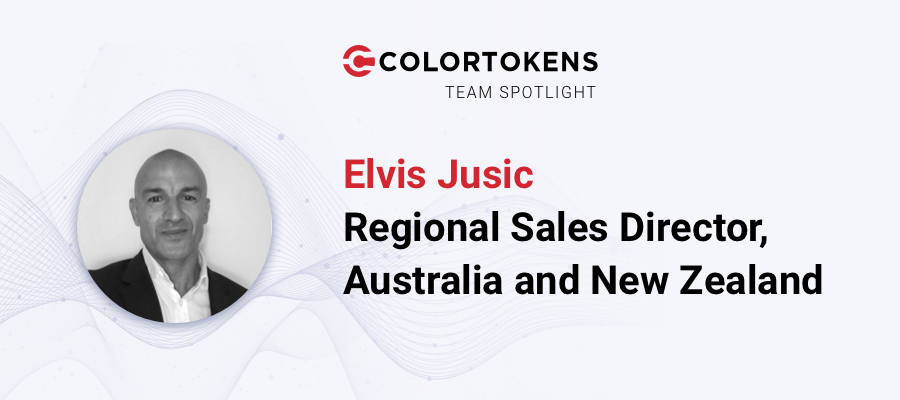 ColorTokens Team Spotlight: Meet Elvis Jusic